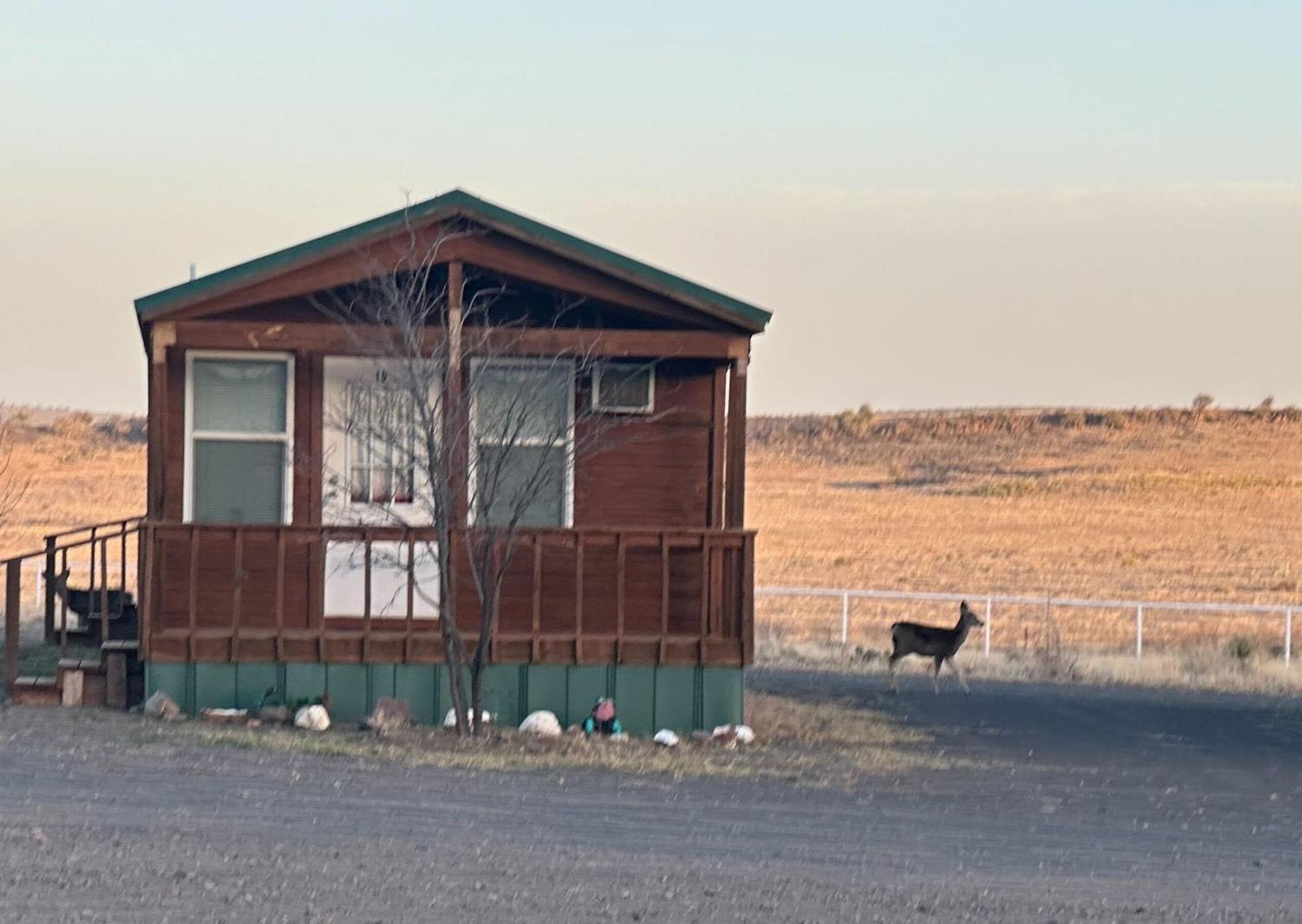 Mountain View Lodge Fort Davis Εξωτερικό φωτογραφία