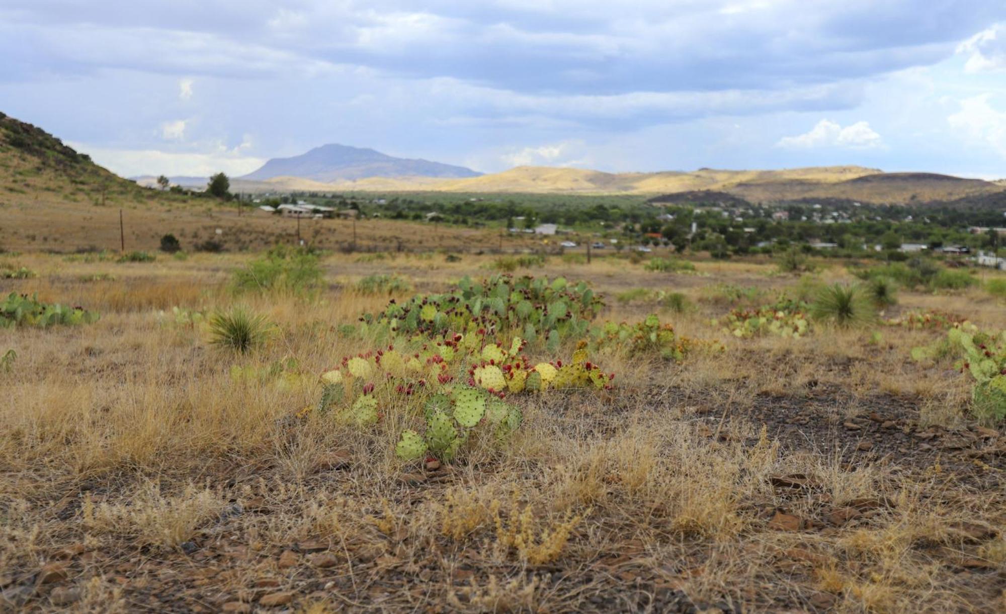 Mountain View Lodge Fort Davis Εξωτερικό φωτογραφία